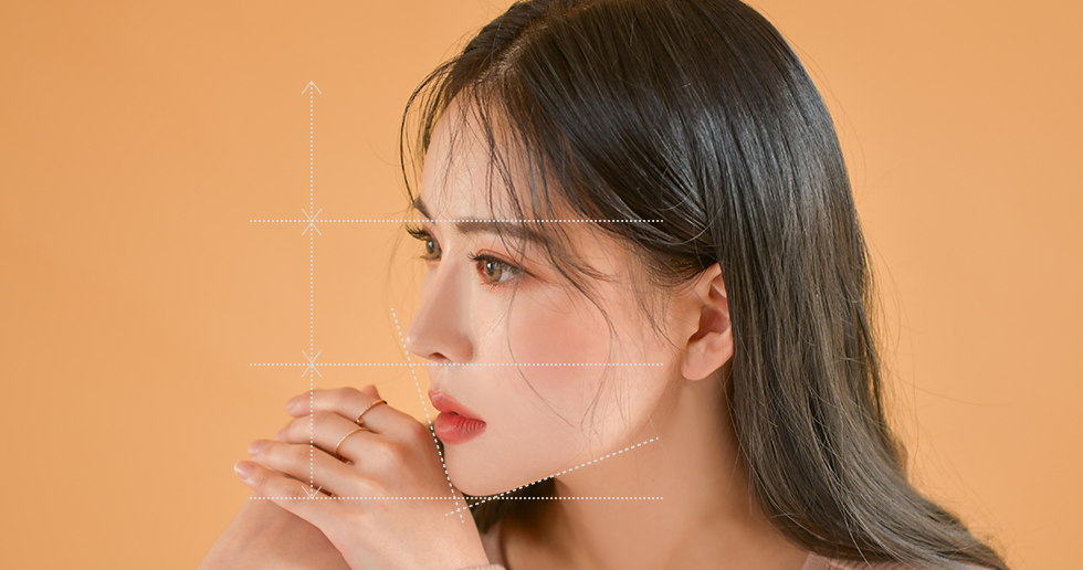 사선 방향에서본 여성의 얼굴과 비율선