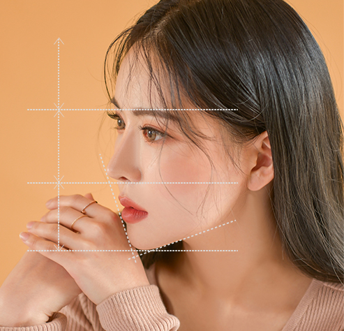 사선 방향에서본 여성의 얼굴과 비율선