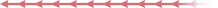 Vxil