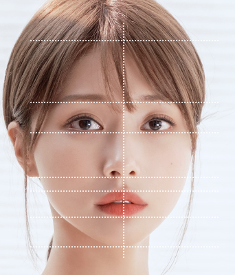 View Plastic Surgery model's face ratio