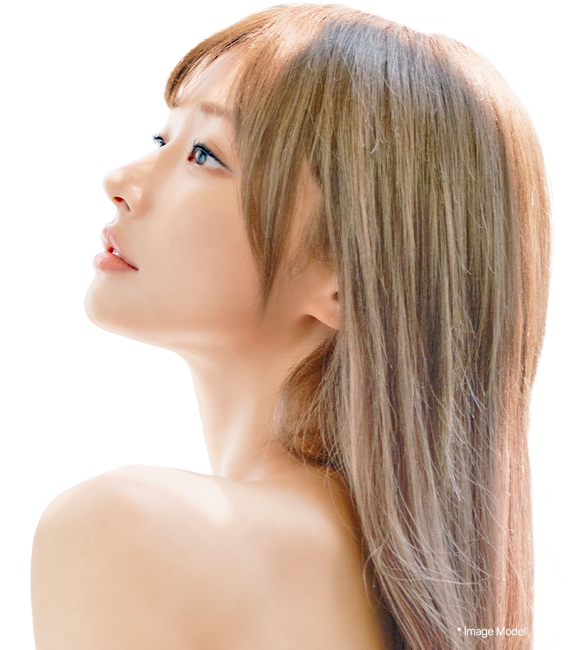 3D-CT Revision Rhinoplasty 28 nose reoperation suggestion mo