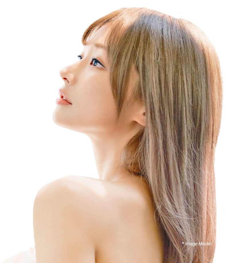 3D-CT Revision Rhinoplasty 27 nose reoperation suggestion pc