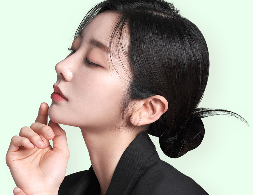 nose visual main pc