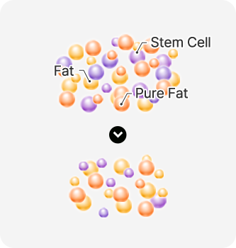 img 01stem cell mo