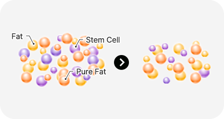 img 01stem cell pc