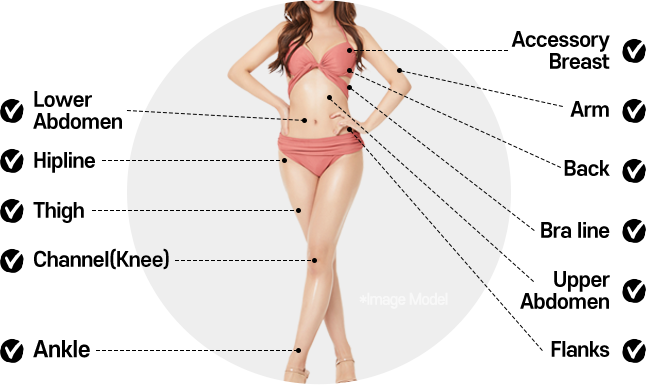 Slimming Solution 43 mo 01body fit