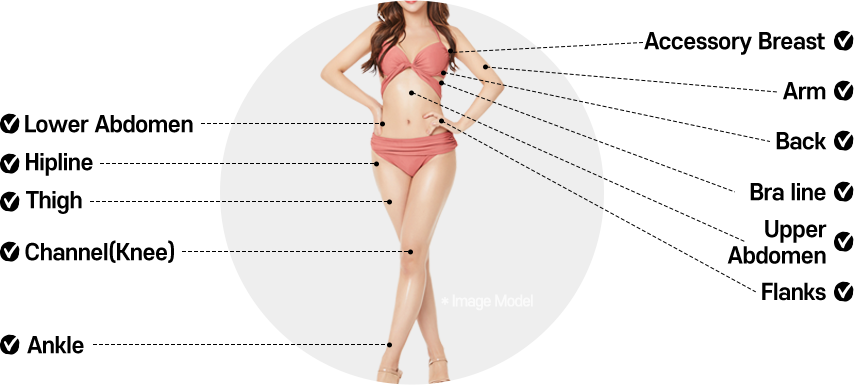 Slimming Solution 42 pc 01body fit