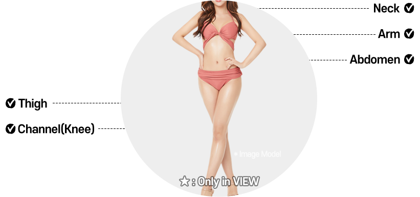 Slimming Solution 45 pc 02body ulthera