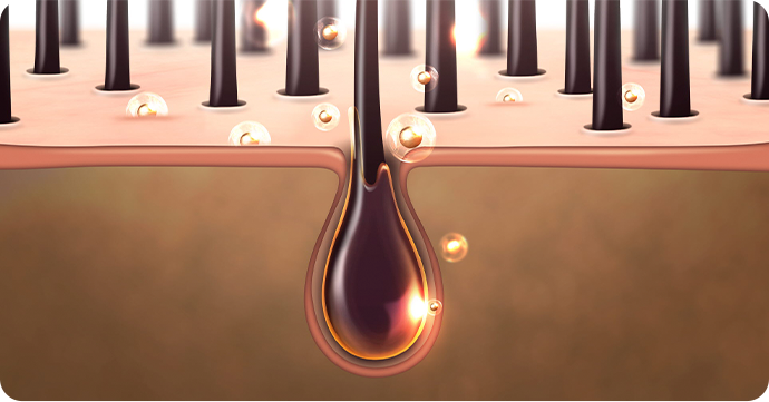 Stem Cell Hair Regeneration Program in Korea for hair loss improvement and thickness