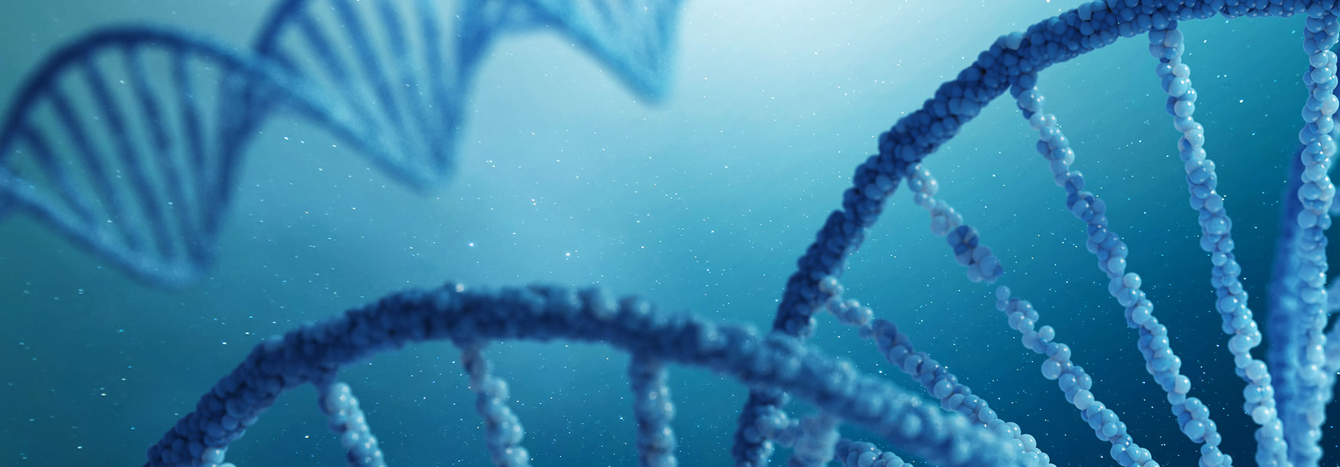 View Stem Cell Therapy in Korea for immune boost, skin rejuvenation, anti-aging, and slow aging