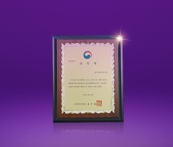Medical Korea Global Healthcare Merit Award (2021)